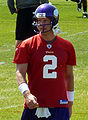 Sage Rosenfels, NFL Quarterback