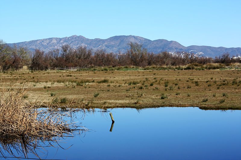 File:Aiguamolls de l'Empordà.jpg