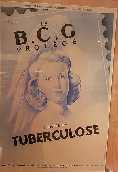 File:BCG advert.jpg