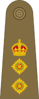 File:British Army (1920–1953) OF-5.svg