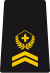 OR-6 - Sergeant major