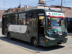 Bus urbano