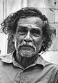 Francisco Toledo, activist, and pinter. (Zapotec)