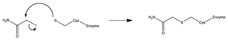 File:Iodoacetamide mech wiki.png