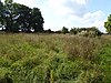 Greetham Meadows