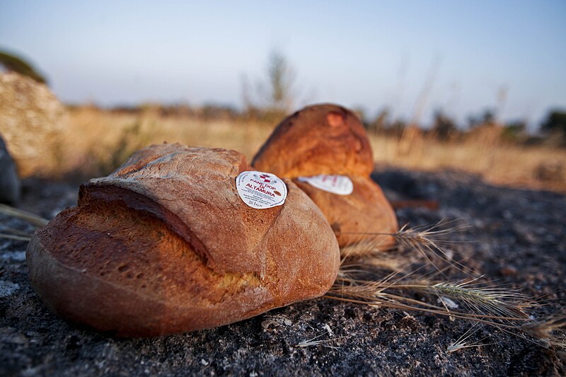 File:Pane-di-altamura-dop-official.jpg