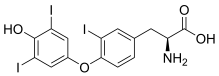 File:Reverse triiodothyronine.svg