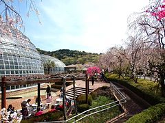 Togokusan Fruits Park