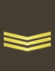 нз 1969