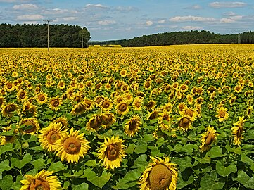 Near Rietz-Neuendorf, Germany