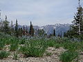 Boulder Mountains