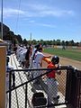 Bullpen at Narrabundah Ballpark