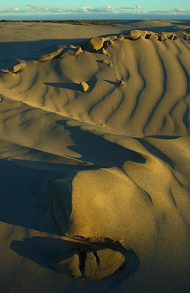 File:Farewell Spit sand dunes.jpg