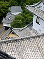 Castle walls and rooftops