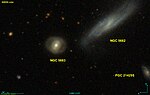 Thumbnail for NGC 5683