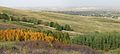 View from Nose Hill Park looking north