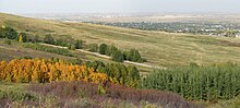 Nose-hill-view3.jpg