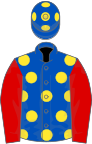 Royal blue, yellow spots, red sleeves