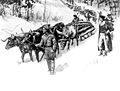 Henry Knox's noble train of artillery