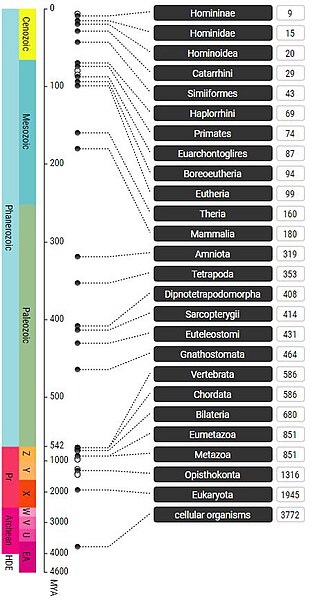 File:TimeTree Timeline.jpg