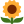 🌻