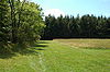 A mowed field in the center, an unmowed field at right, woods at left and in the background