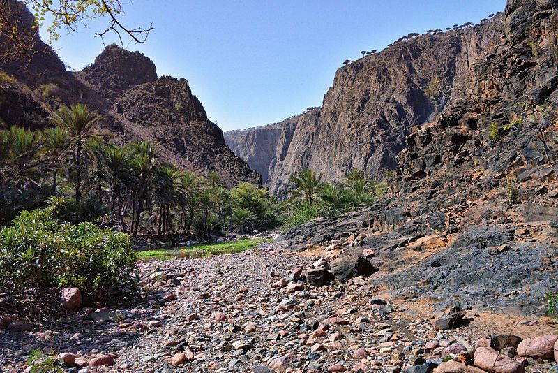 Файл:Wadi, Socotra Island (10941888296).jpg