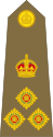 Brigadier