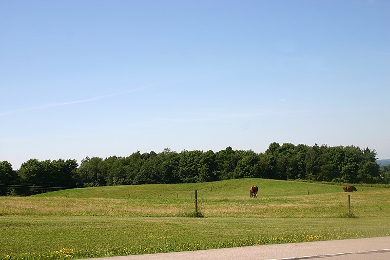 File:Ground moraine 9004.jpg