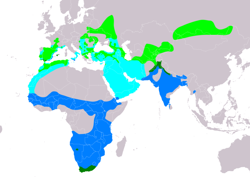 File:HieraaetusPennatusIUCNver2018 2.png