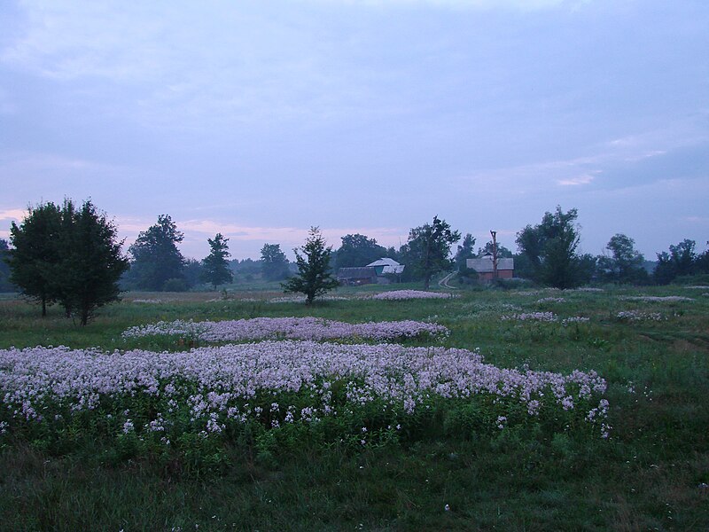 Файл:Khukhra. Meadows.JPG