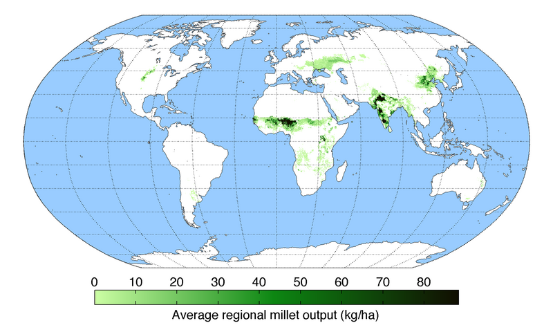 File:Milletoutput.png