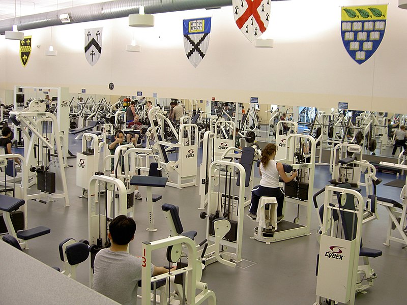 File:Payne-whitney-exercise2.jpg