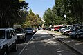 Large number of cars parking near the Physics and Engineering buildings during UF football game