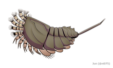 20200810 Offacolus kingi.png