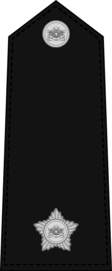 2nd Lieutenant Insignia.png