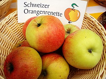 'Schweizer Orange'.