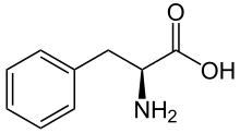 L-Phenylalanin - L-Phenylalanine.svg