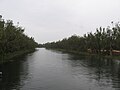 Miniatura para Río Loddon