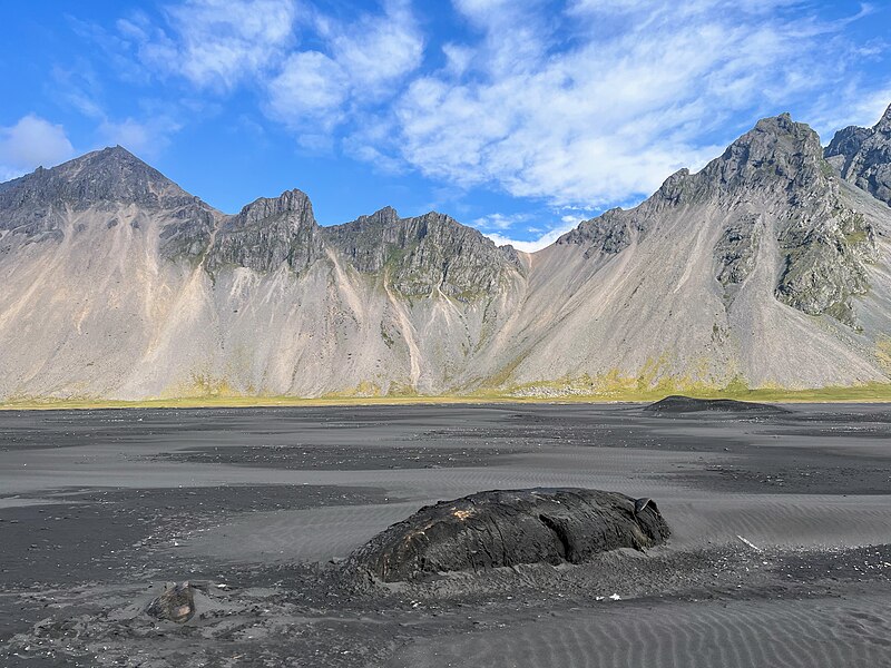 File:BeachedWhale.jpg