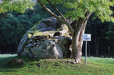 «Ложе Калевипоэга» (природоохранный ледниковый валун)