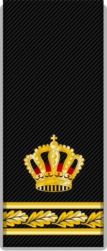 Swedish-police-rank-10.svg