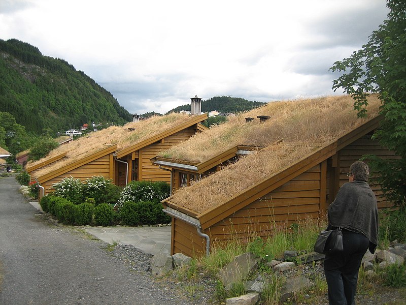 File:Torvetua eco-village (3254898889).jpg