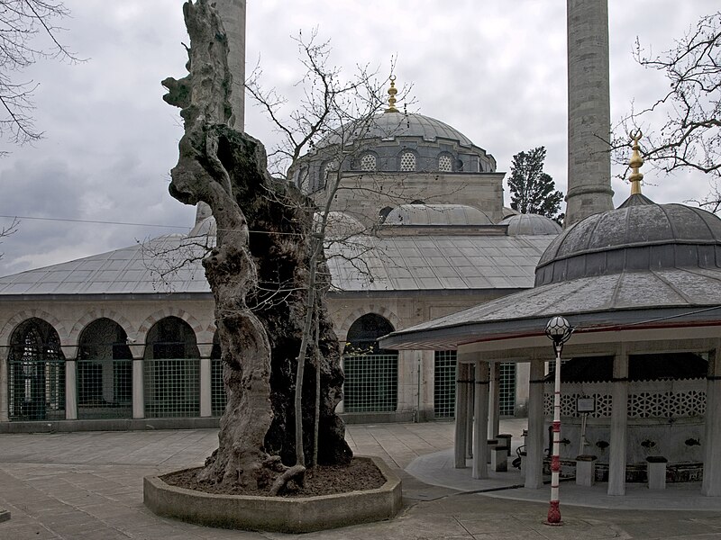 Файл:Atik Valide Mosque.jpg