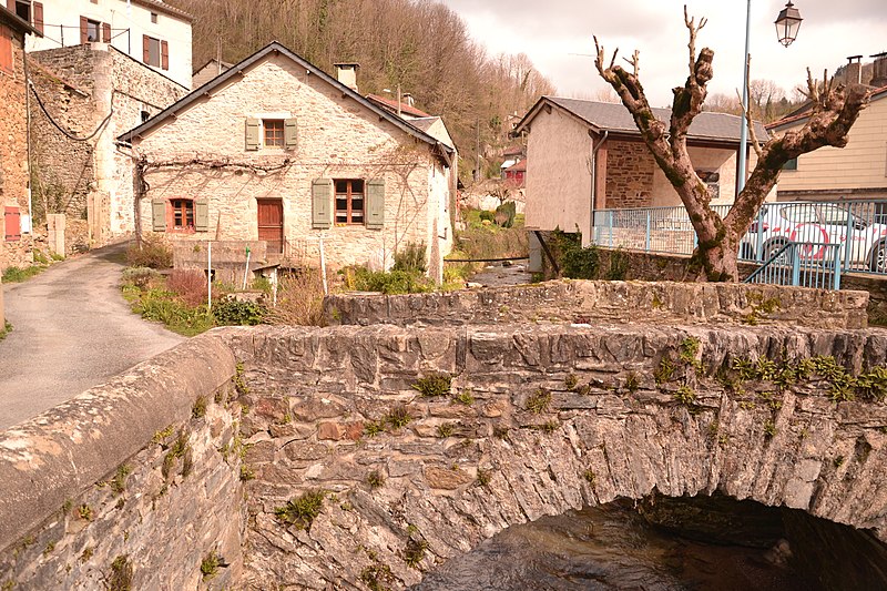 Файл:Cambounès pont.jpg