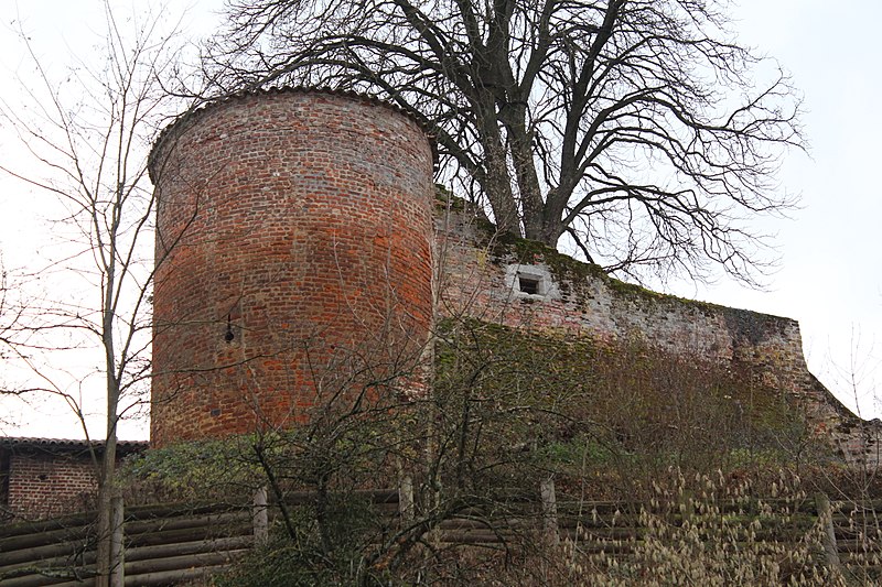 File:Château Châtillon Chalaronne 5.jpg