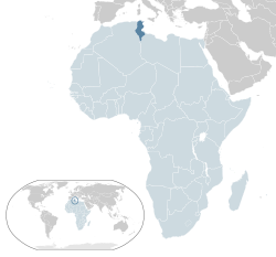 Location of Tunisia (dark blue) in Africa (light blue)