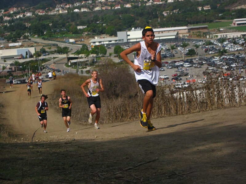 File:MtSAC XC.jpg