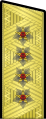 ... к парадной форме одежды (1943—1955 гг.)