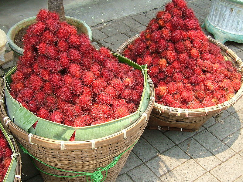 File:Rambutan Binjai.jpg